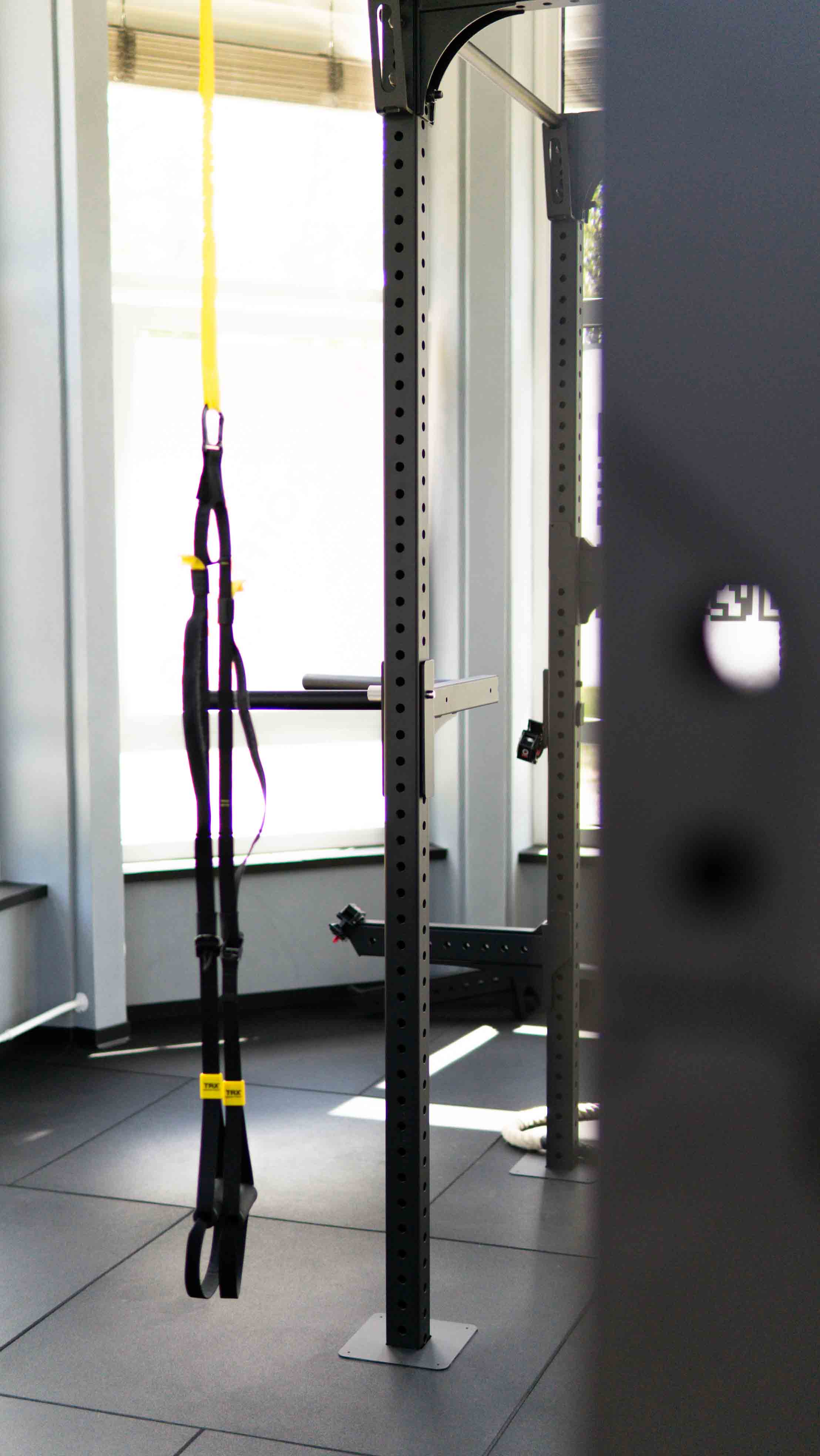 ELEIKO Ausrüstung mit Plyo Box